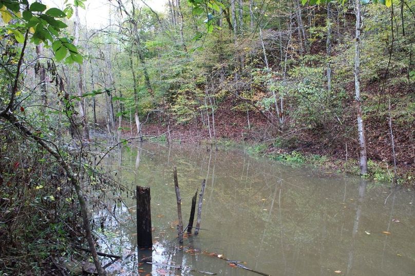 007 old timber load out pond