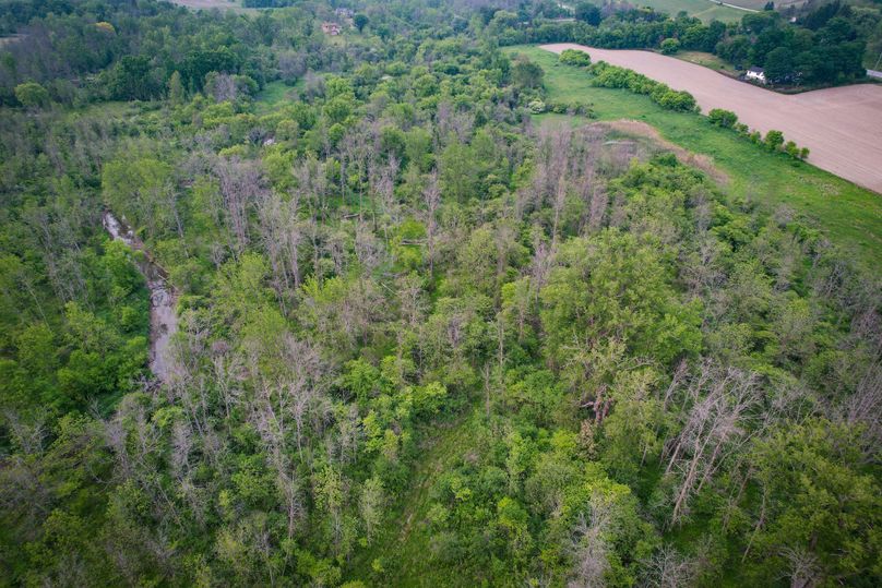 Ontatio_73.3_Green Photo 38