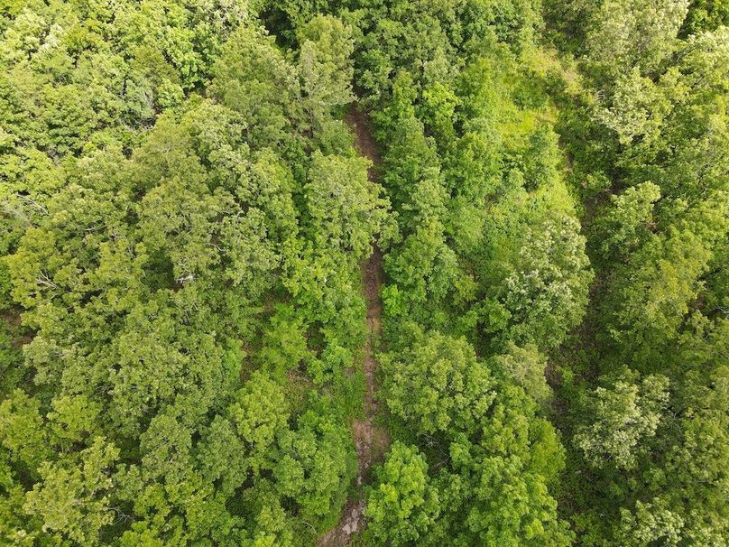 DJI_0391