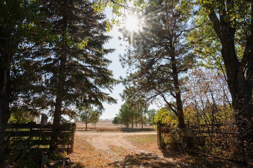 1 - Driveway to Road