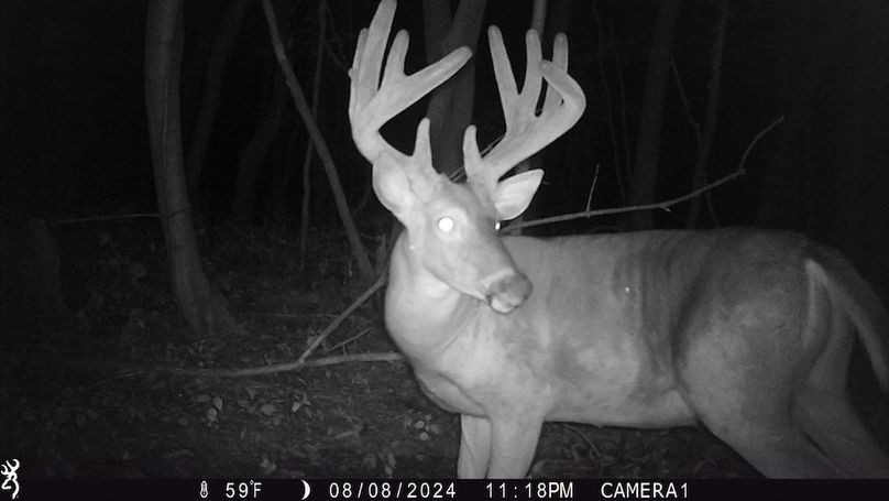 Sauk 174 Trailcam - 2