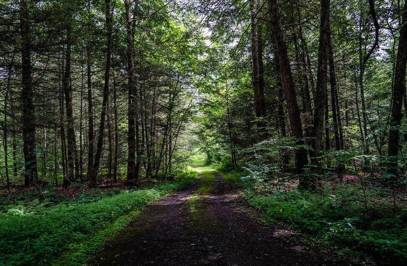 Tioga_28.87_Shangraw Photo 33jpg