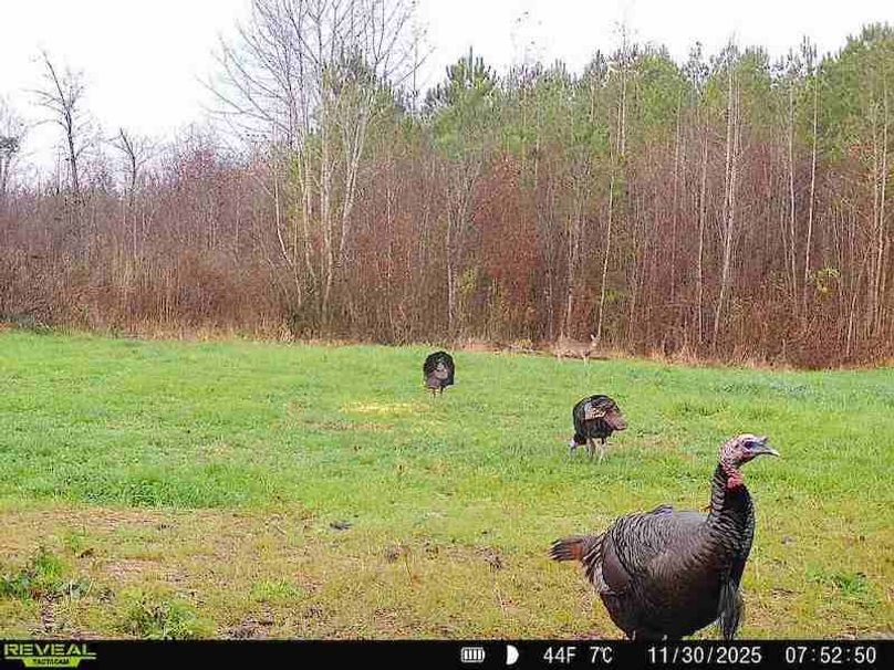 860516069328684-90-4-11302025075250-W1020724