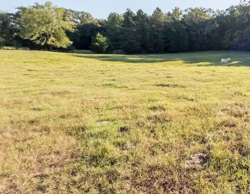 Hinds Co - 30 - Newman-10