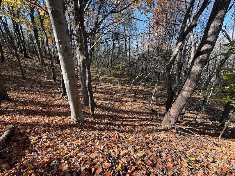 Wayne_18.11_Koehler Photo 7