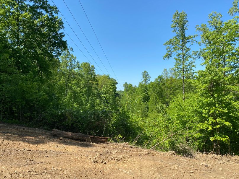 012 a cleared off area under the service lines in the south part of the property, excellent for a food plot copy