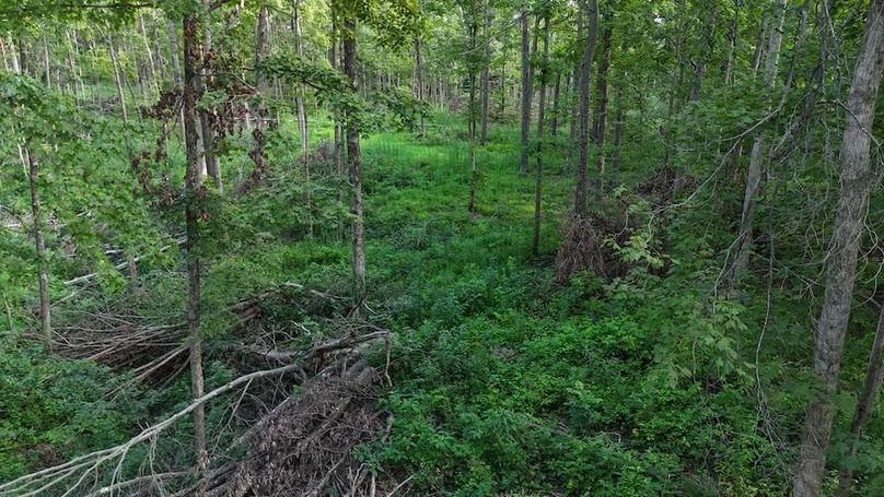 DJI_20250808180206_0773_D