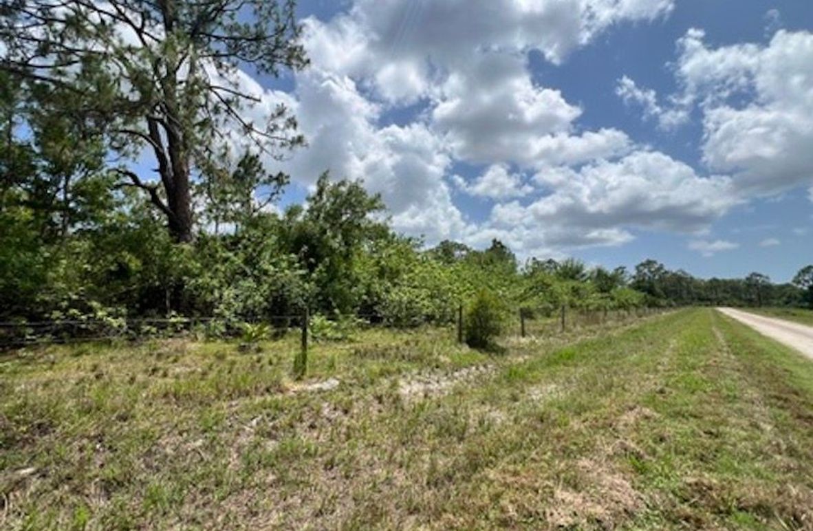 36BF305D-B8BE-4AFD-AF26-3ACF3473B735_4_5005_c