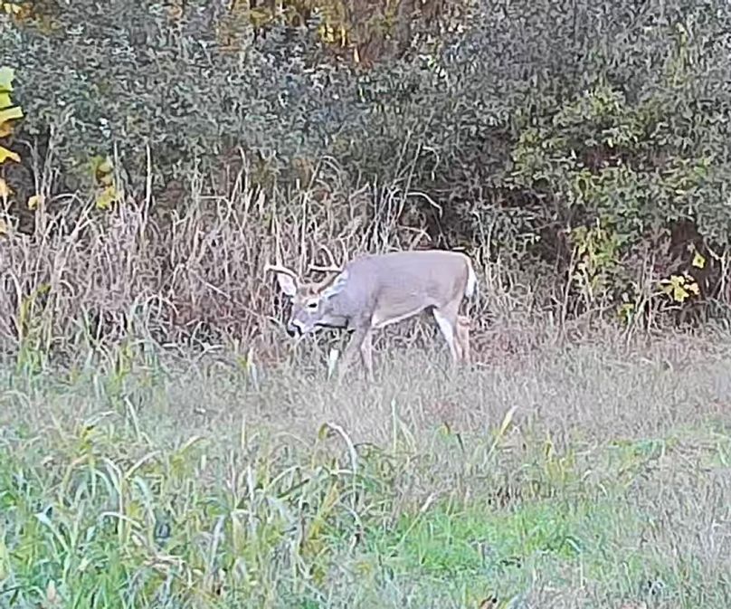 DAFE2262-A865-4030-BCEE-D3A5A0314414_1_201_a