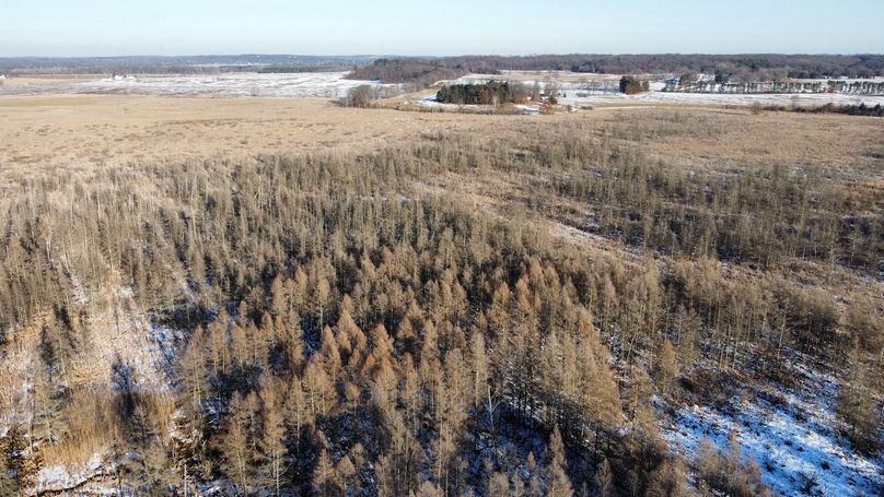 dji_fly_20240131_152940_919_1706897177383_photo_optimized