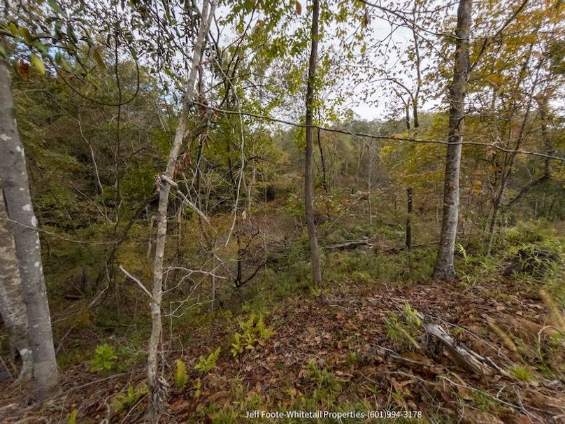 Claiborne Co-189-Geronimo-38