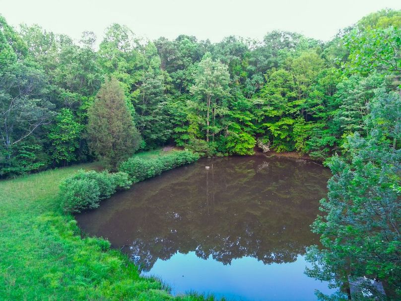 DJI_0595