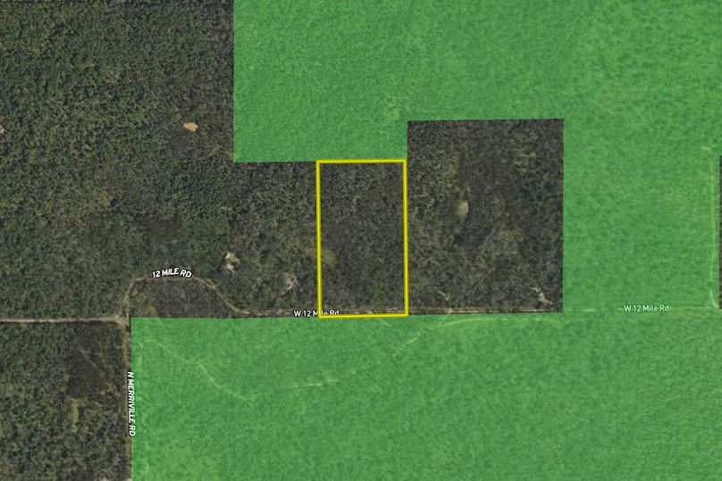 Manistee National Forest