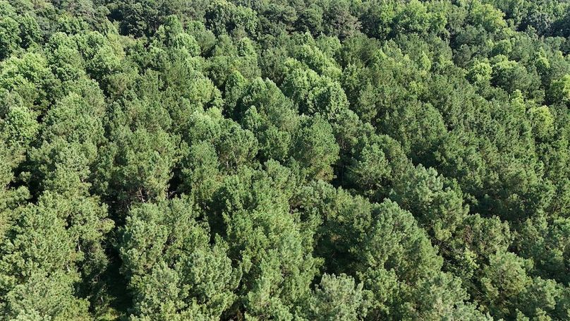 DJI_20250627100153_0124_D