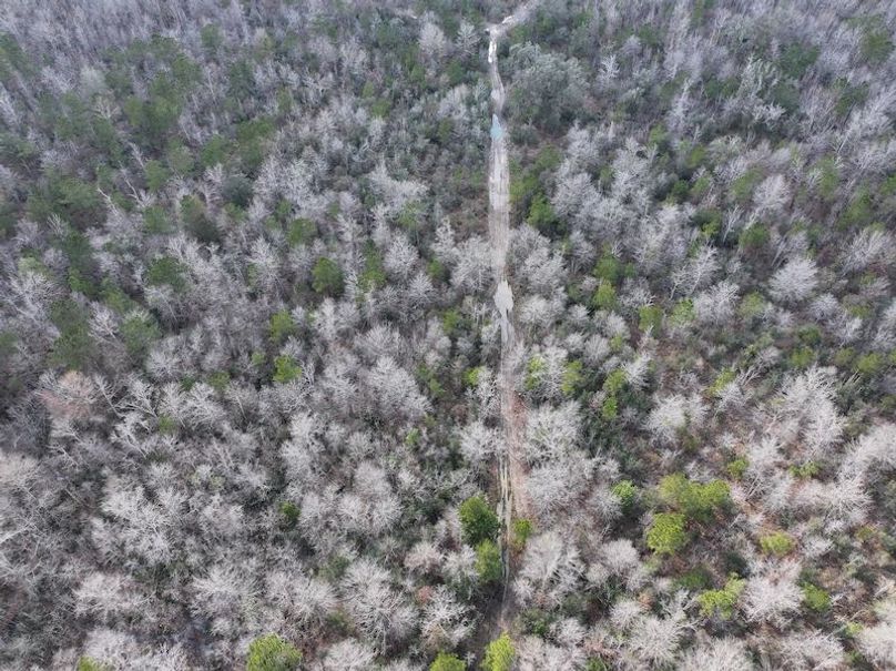 dji_fly_20260212_135646_0034_1771284251878_photo