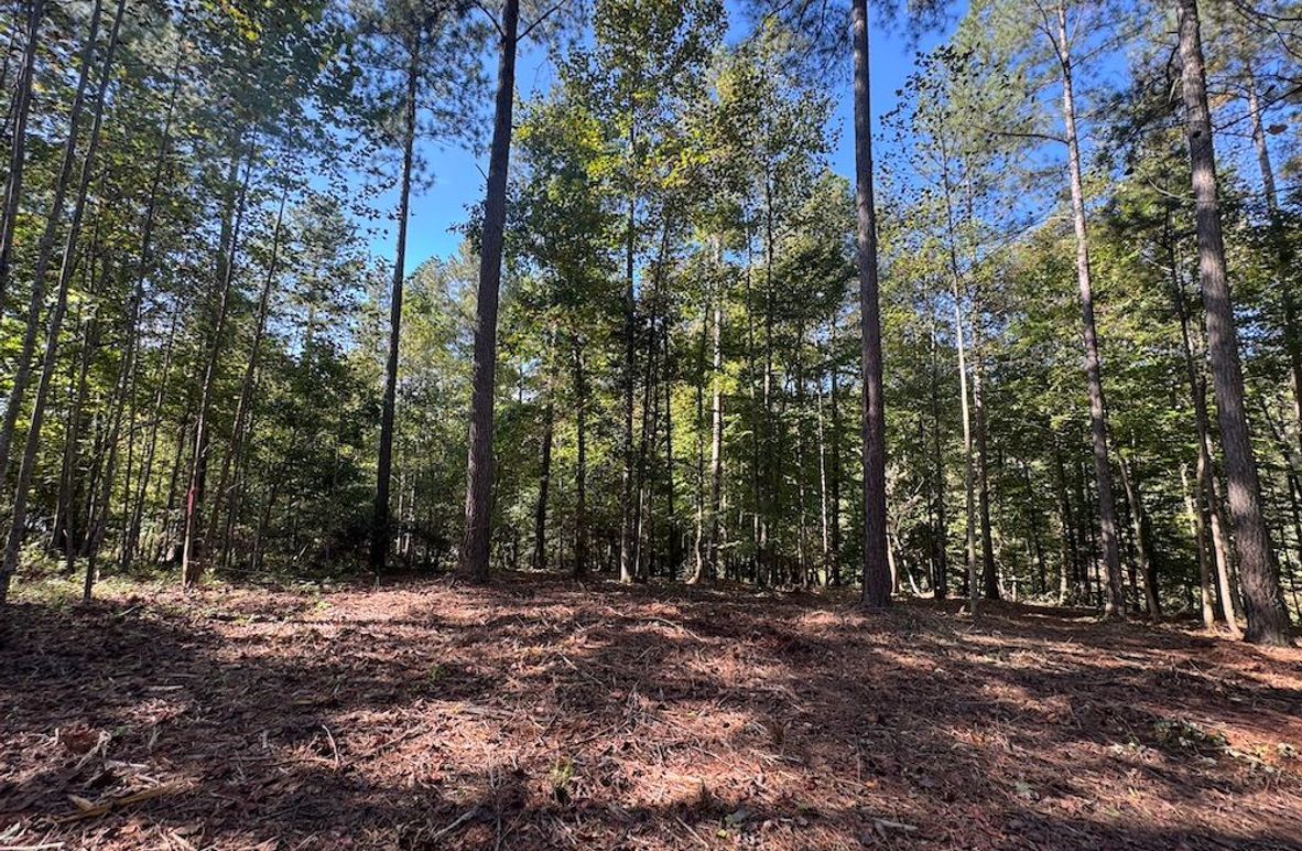 003_Wooded Build Lot