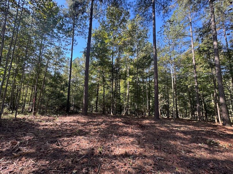 003_Wooded Build Lot