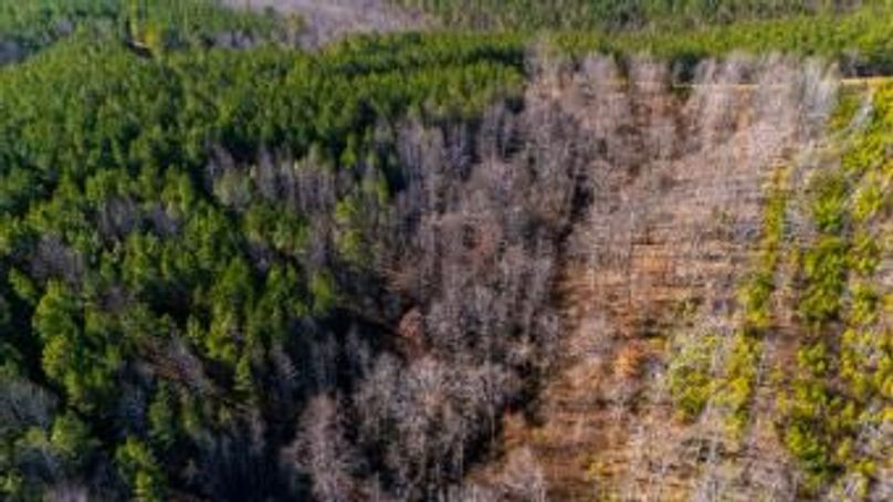 MCKINNON TRACT 19-24