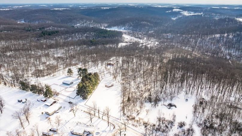 01-z 18408 Brushy001-2