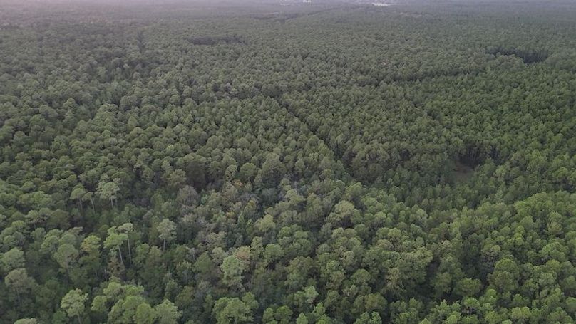 DJI_20251007192410_0049_D