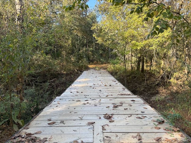 Clay 302.7 Henderson-18