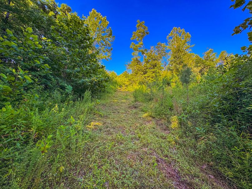 Lewis, WV 82.87 AC Barger-073