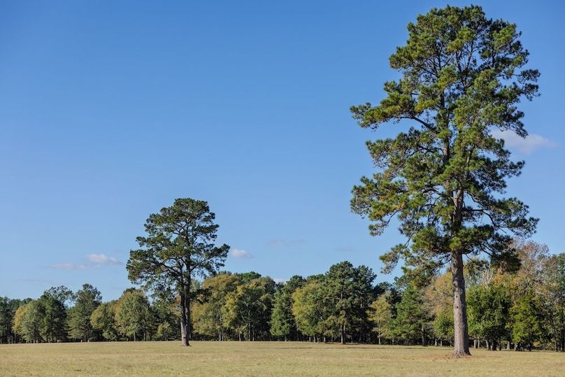 40 harrison 417ac pics-079