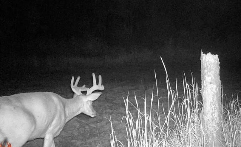 25072500030201000506 (1)