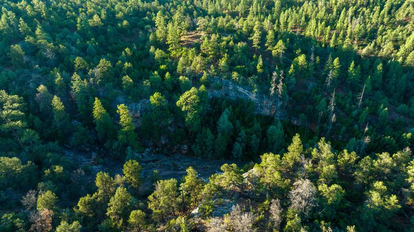 Cibola NM 13,053-0492