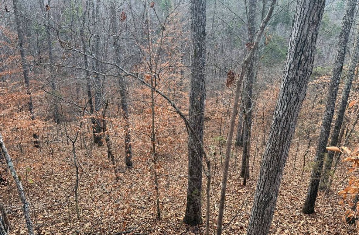 002 nice mix of timber throughout-2