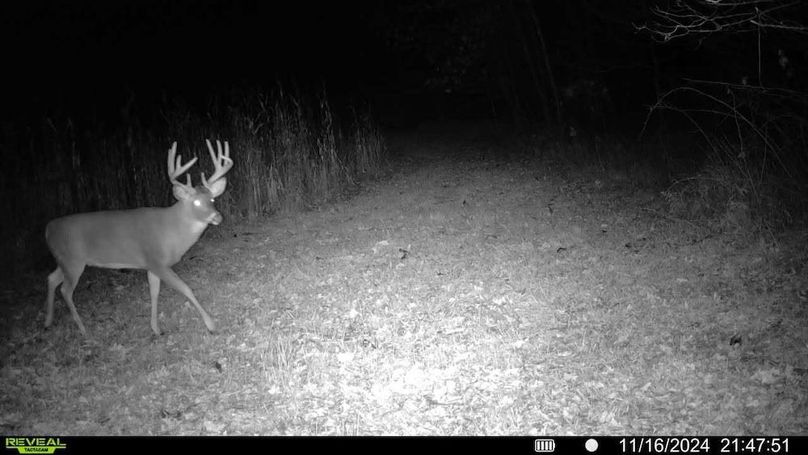 Sauk 174 Trailcam - 12