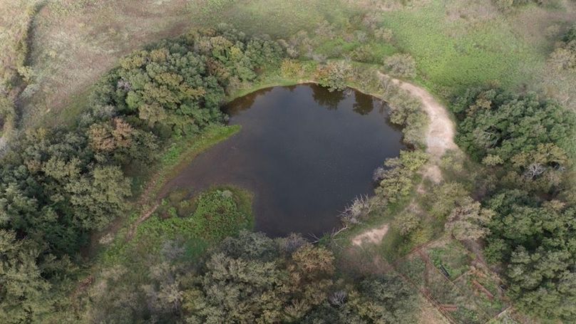 13. Overhead of pond