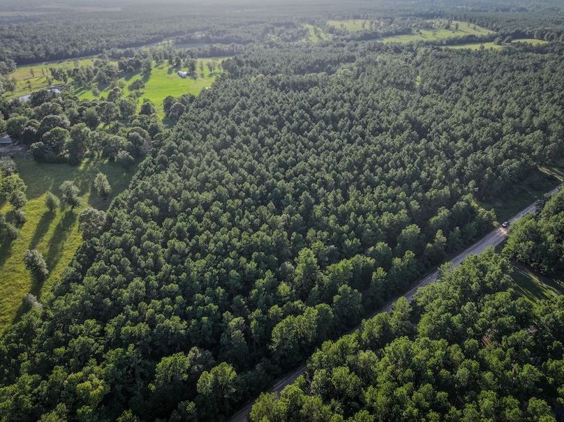 Copy of DJI_20240704191359_0053_D