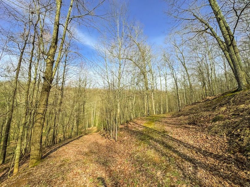 Ritchie, WV 206.08 AC Curriden-25