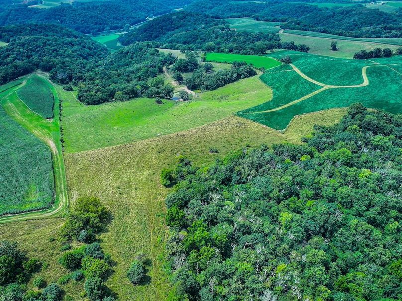 New Albin 8_8 edits-30