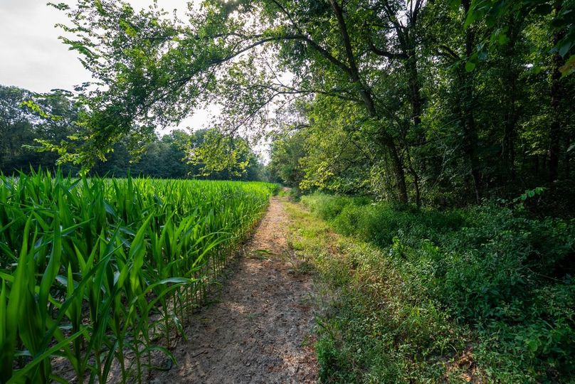 Copy of DSC06212 Large