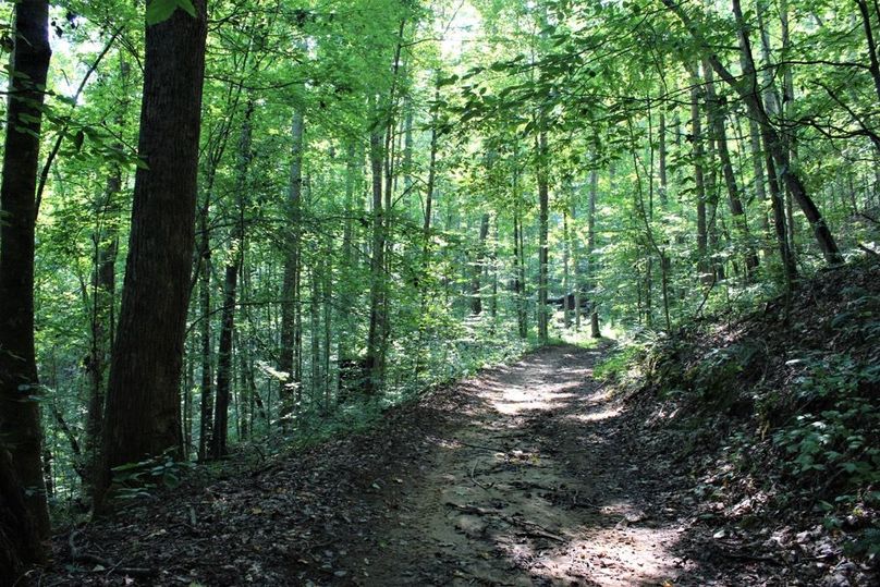 040 one of the many well groomed woods trails