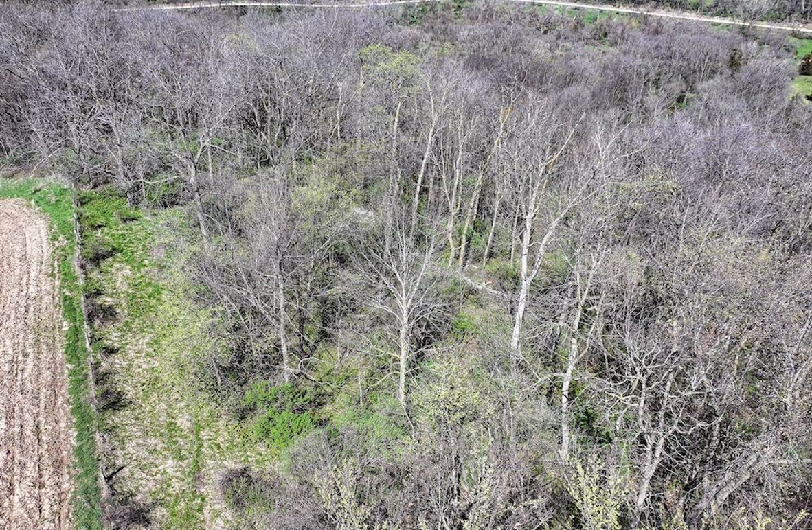 Strawberry Point- WTP-06