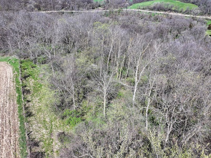 Strawberry Point- WTP-06