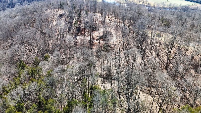 DJI_20260122124006_0025_D