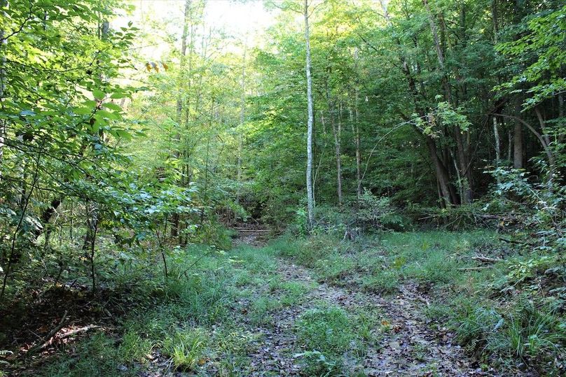 006 some of the trail network down the center of the valley