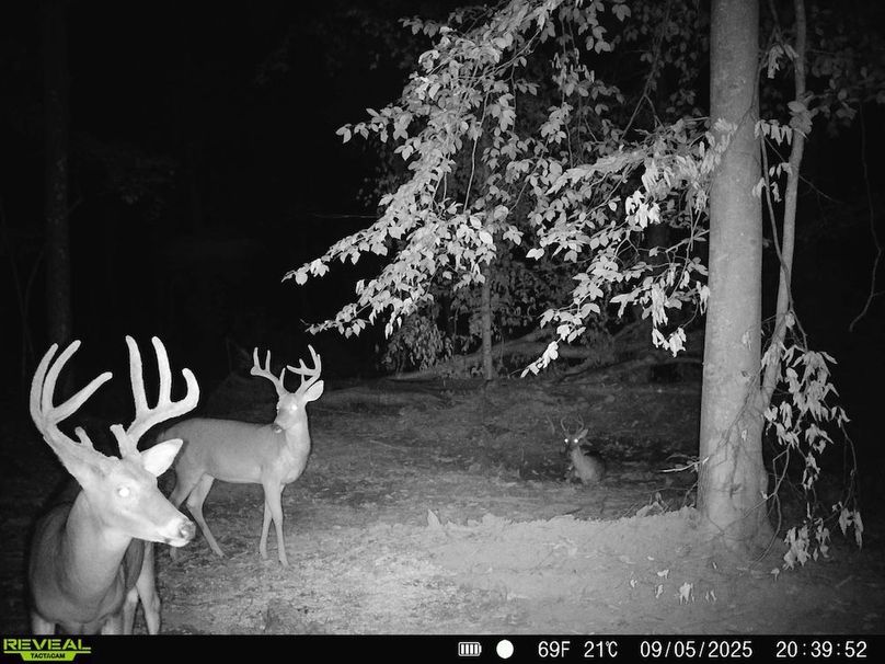 868032068723497-100-4-09052025210758-HD-SYFW0306