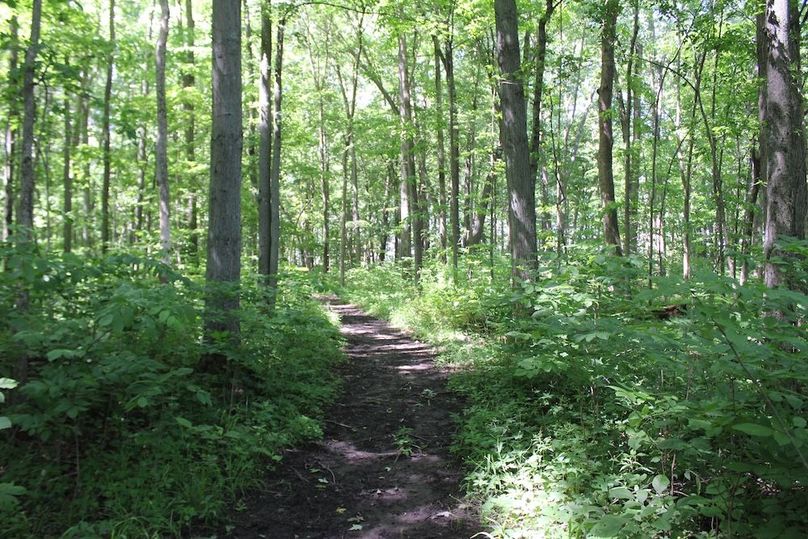 trail 24