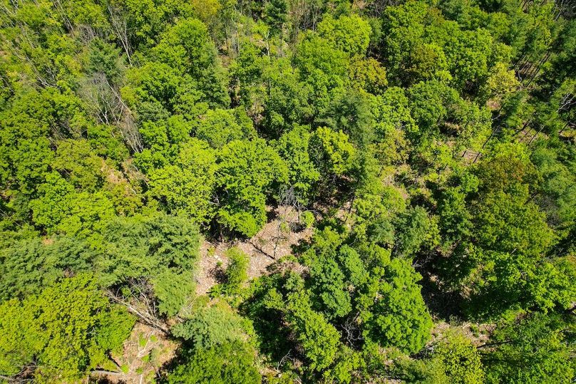 dji_fly_20250512_130350_978_1747069850857_photo