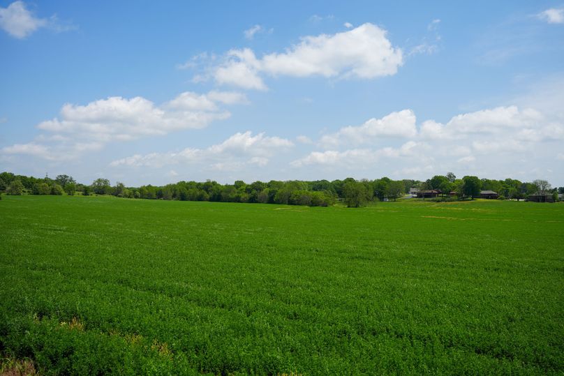 DSC01008
