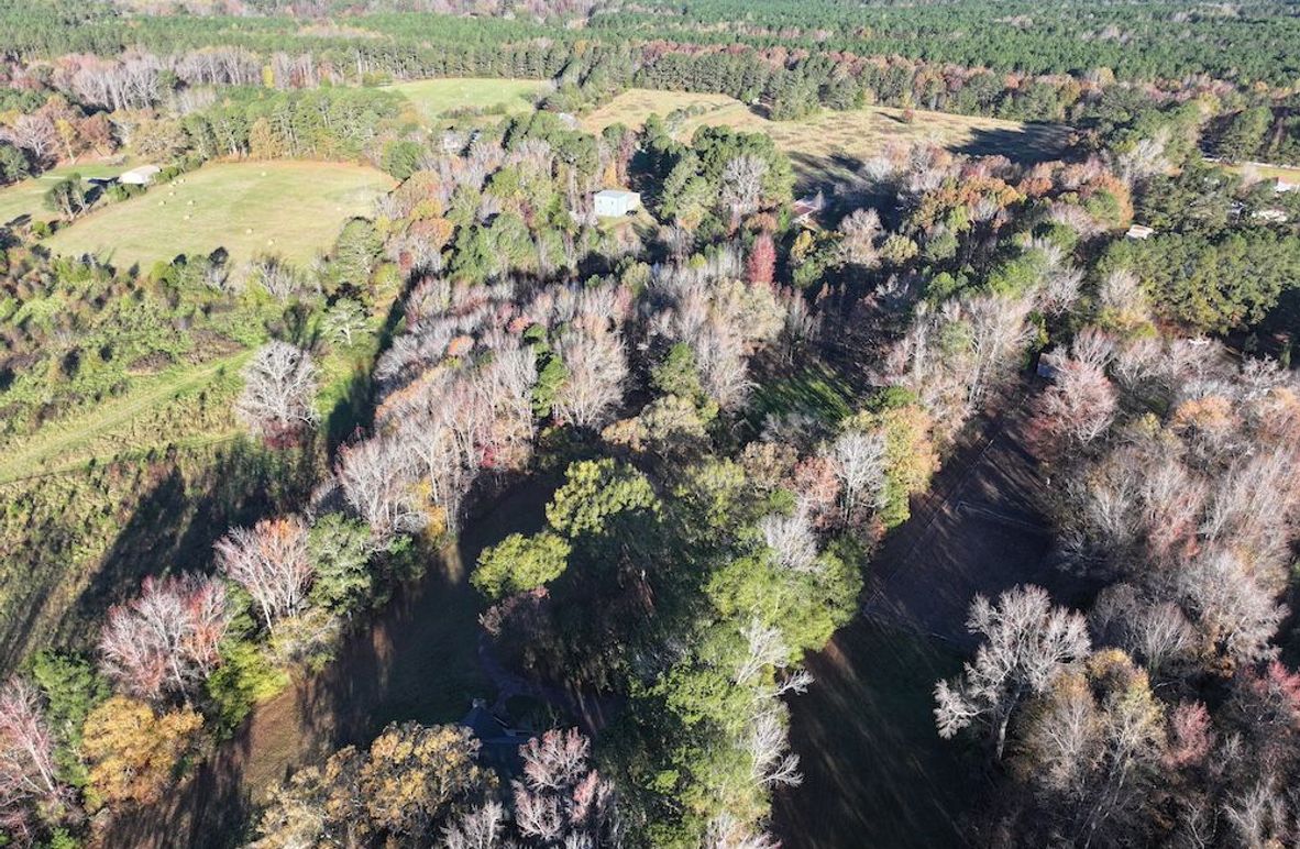 Copy of DJI_20241124090118_0204_D