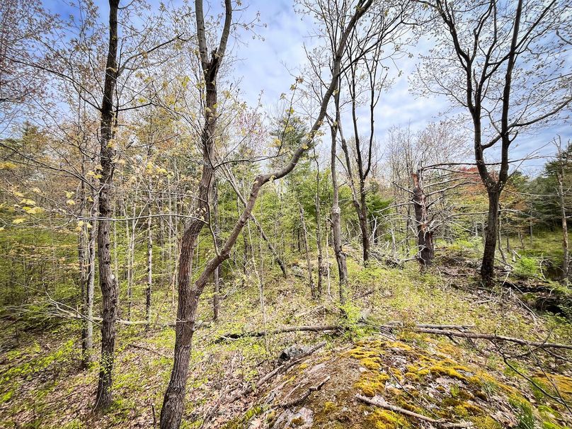 Jefferson_148.1_Flood_Photos_75