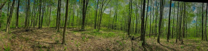 Doddridge, WV 64.69 AC Davis-13