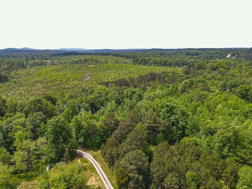 dji_fly_20250501_123442_472_1746117369442_photo