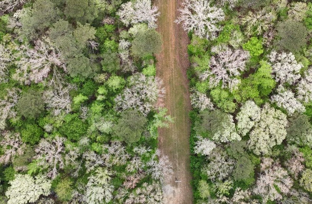 DJI_20260402004652_0211_D